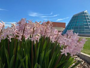 Image post by @wsupullman on Instagram