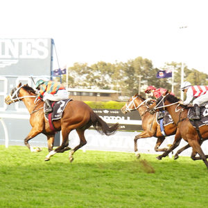 Image post by @australianturfclub on Instagram