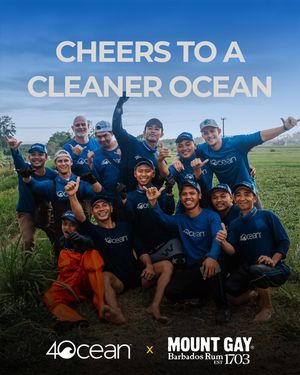 Image post by @4ocean on Instagram