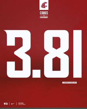 Image post by @wsucougarvb on Instagram