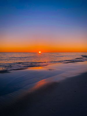 Image post by @SouthWalton on Twitter