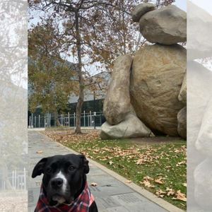 Image post by @ucsdadmissions on Instagram