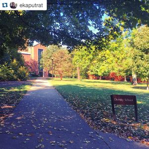 Image post by @vanderbiltu on Instagram