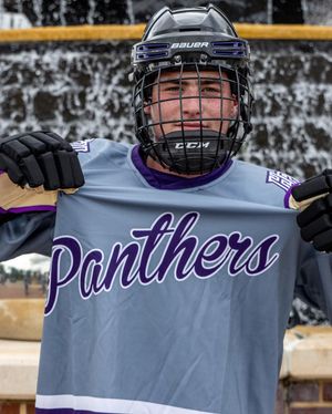 Image post by @hockeyhousepod on Instagram