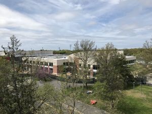 Image post by @stonybrooku on Instagram