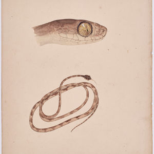 Image post by @drawingcenter on Instagram