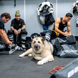 Image post by @renoiceraiders on Instagram