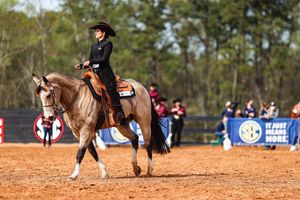 Image post by @ugaequestrian on Instagram