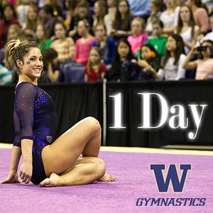 Image post by @uwgymnastics on Instagram