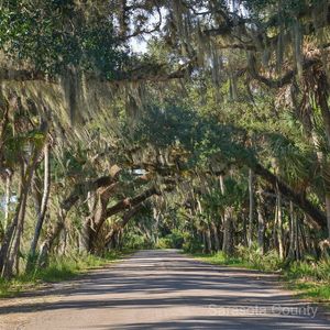 Image post by @visitsarasotacounty on Instagram