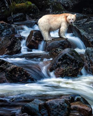 Image post by @natgeo on Instagram