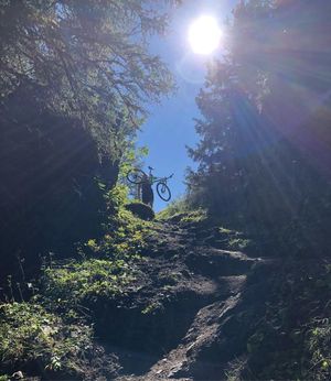 Image post by @tomdetry on Instagram