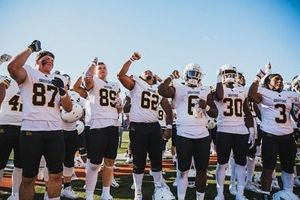 Image post by @mwsugriffons on Instagram