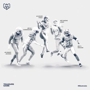 Image post by @mtlalouettes on Instagram