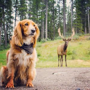 Image post by @kombilifeadventures on Instagram