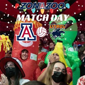 Image post by @zonazooofficial on Instagram