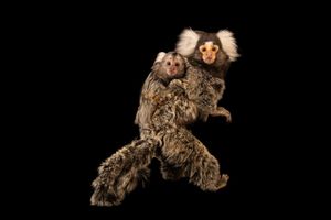 Image post by @natgeo on Instagram