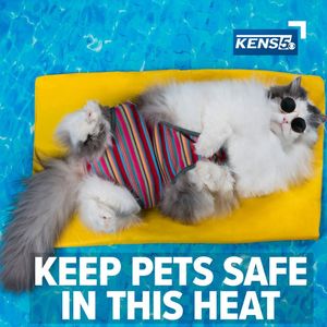Image post by @kens5 on Instagram