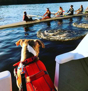 Image post by @gopher_rowing on Instagram