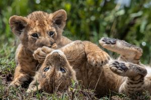 Image post by @natgeo on Instagram