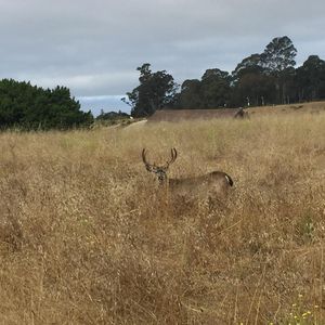 Image post by @ucsc on Instagram