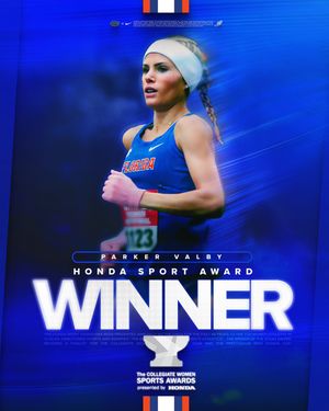 Image post by @gatorstf on Instagram