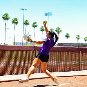 Image post by @lsusoftball on Instagram