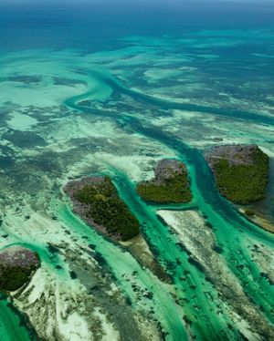 Image post by @discovery on Instagram