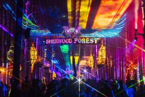 Image post by @electric_forest on Instagram