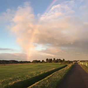 Image post by @dodomolinari on Instagram