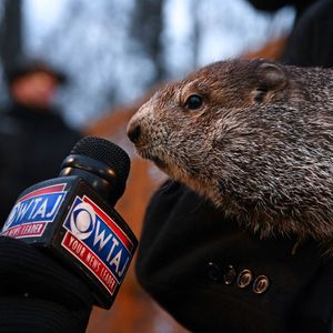 Image post by @wtajnews on Instagram