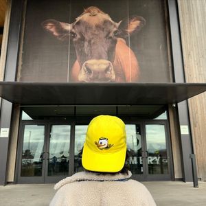 Image post by @uoregon on Instagram
