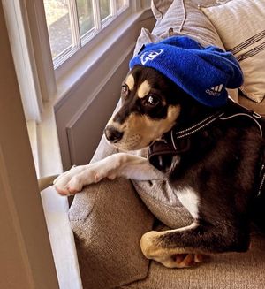 Image post by @setonhall on Instagram