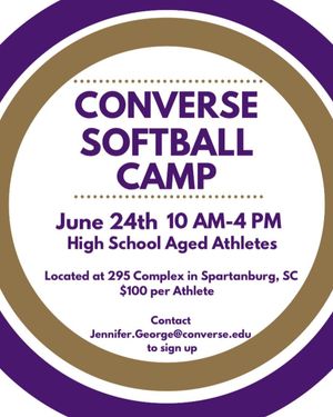 Image post by @valkyriessoftball on Instagram