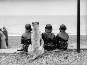 Image post by @gettyimages on Instagram