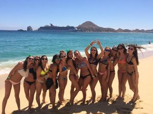 Image post by @wsu_theta on Instagram