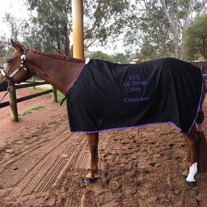 Image post by @flynhighhorsewear on Instagram