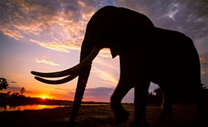 Image post by @natgeo on Instagram