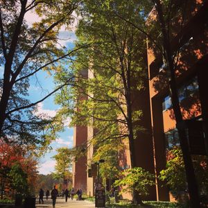 Image post by @umbclife on Instagram