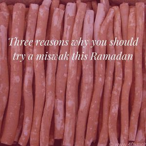 Image post by @amaliah_com on Instagram