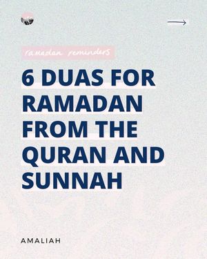 Image post by @amaliah_com on Instagram