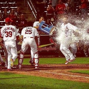 Image post by @springfield_cardinals on Instagram