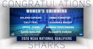 Image post by @nsu_swim on Instagram
