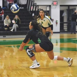 Image post by @meangreenvb on Instagram