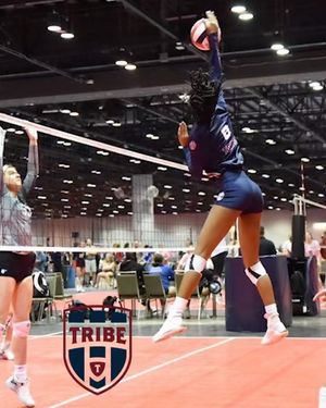 Image post by @mytribevolleyball on Instagram
