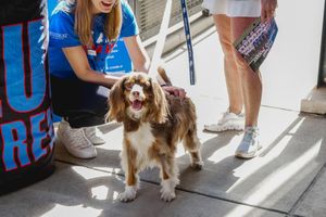 Image post by @depaulathletics on Instagram