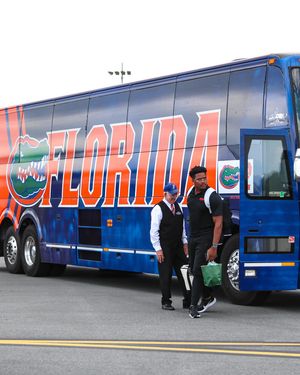 Image post by @gatorstf on Instagram
