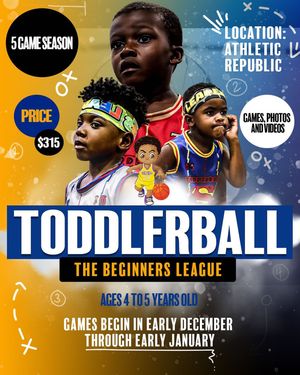 Image post by @toddlerball on Instagram