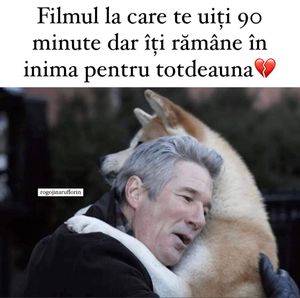 Image post by @rogojinaruflorin on Instagram