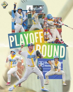 Image post by @MadisonMallards on Twitter